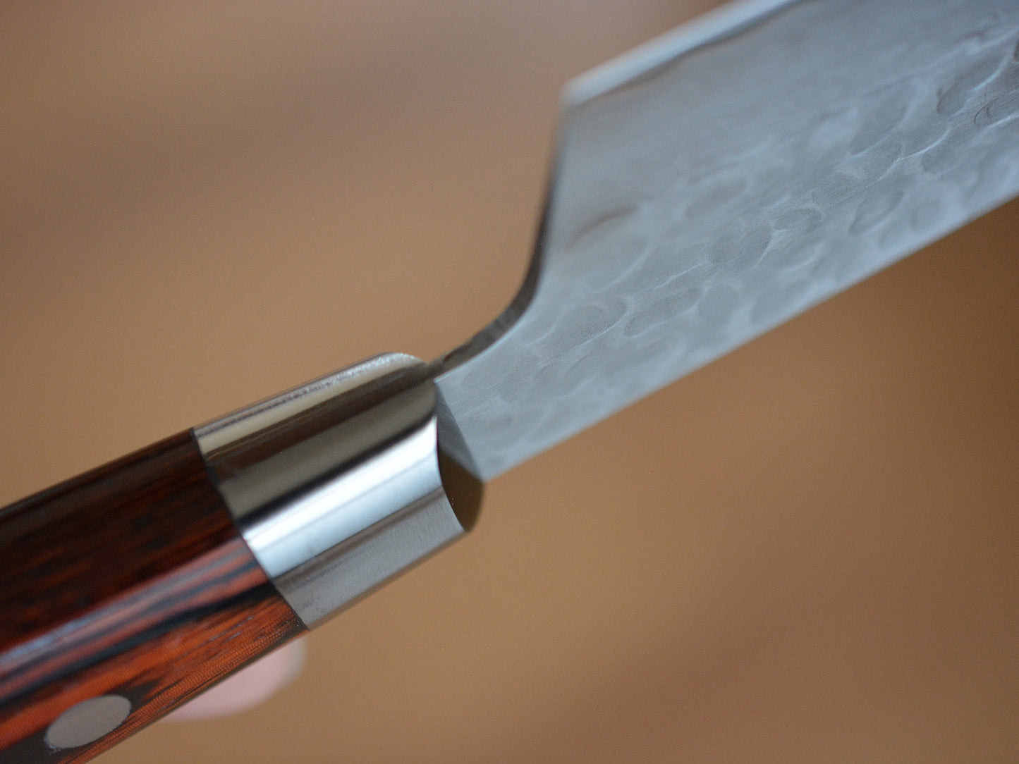 CA001 Cuchillo Japonés Kiritsuke-Santoku VG10 Damasco Sakai Takayuki 16cm
