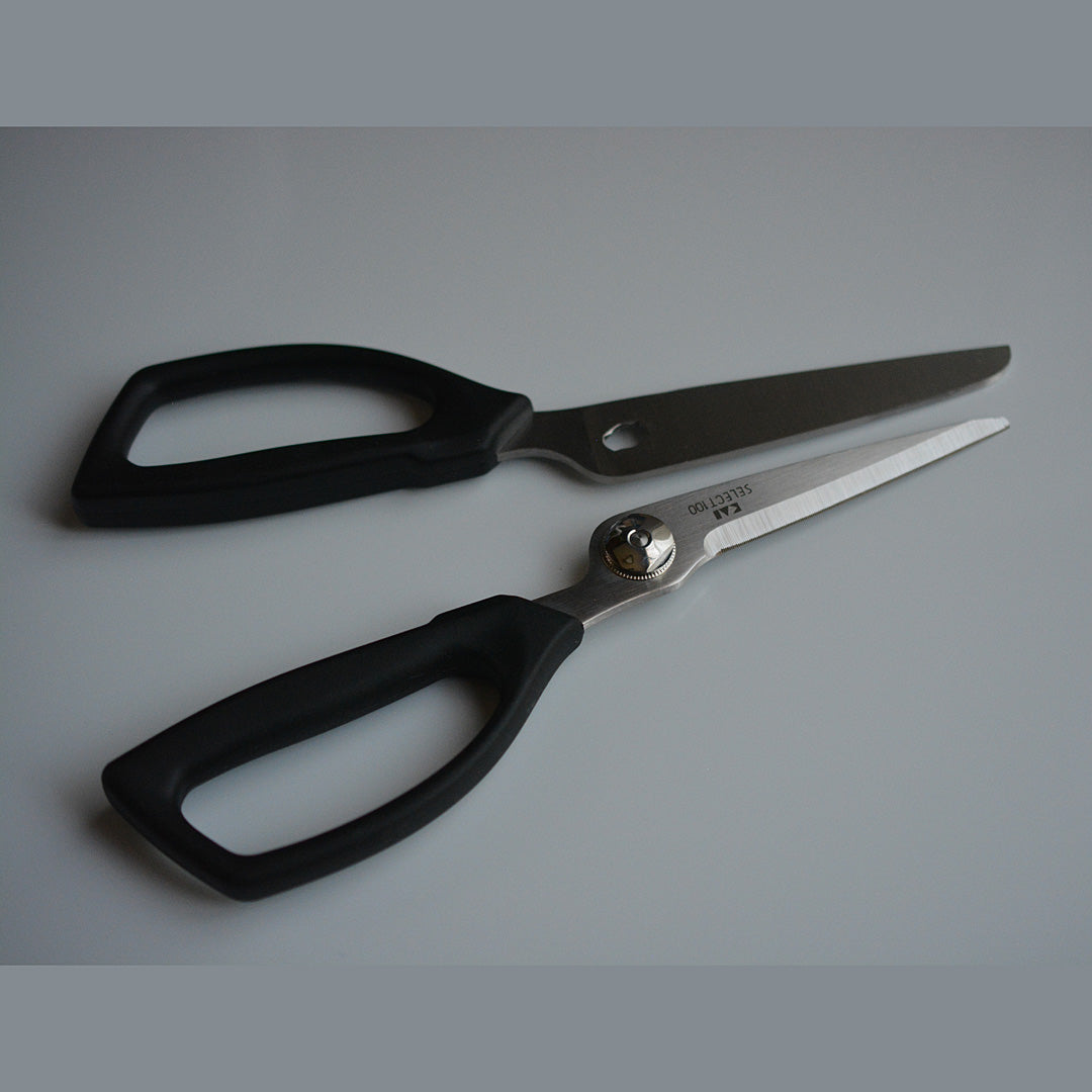 Tijeras de cocina desmontadas.